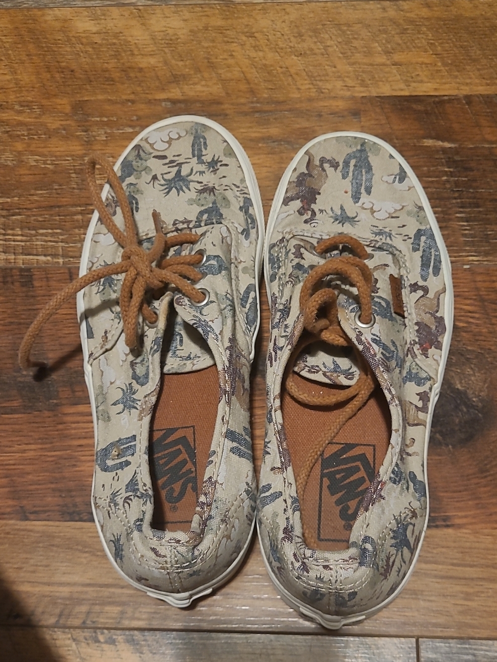 Vans Desert Cowboy Sneakers